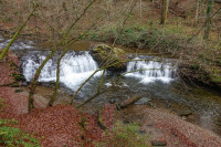 /album/deutschlandsberg-klause-19-november-2025/deutschlandsberg-klause-19-11-2025-2-jpg/